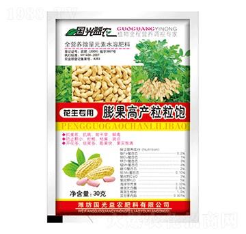 花生膨果高產(chǎn)粒粒飽-國光益農(nóng)