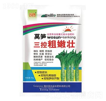 萵筍三控粗嫩壯-國光益農(nóng)