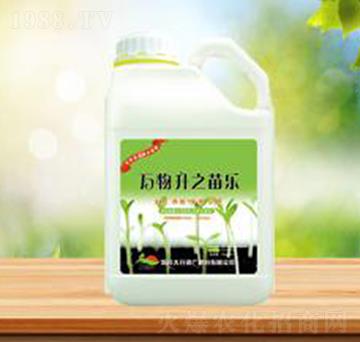 萬(wàn)物升之苗樂(lè)-盛華農(nóng)業(yè)