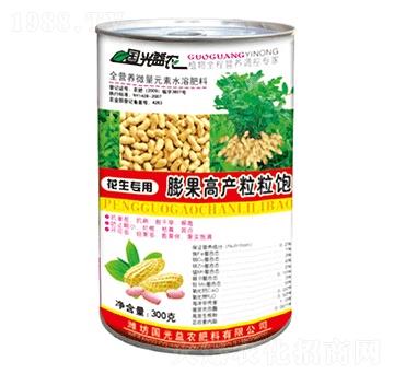 花生膨果高產(chǎn)粒粒飽-國光益農(nóng)