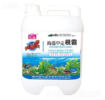 海藻甲殼根霸-國光益農