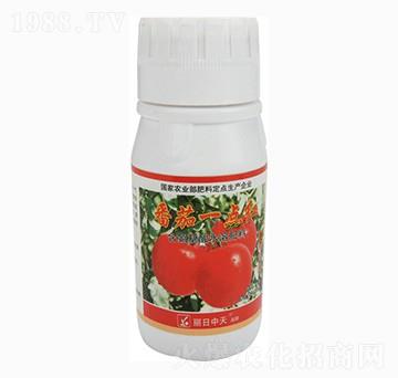 番茄專用含氨基酸水溶肥料-番茄一點(diǎn)紅-中天肥業(yè)