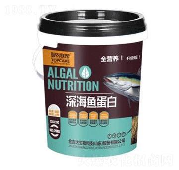 深海魚(yú)蛋白-金吉達(dá)