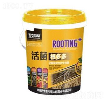 活菌根多多-金吉達