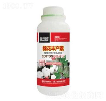 棉花豐產(chǎn)素-金吉達(dá)