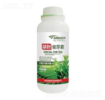 ���~��ѿ��-���_(d��)