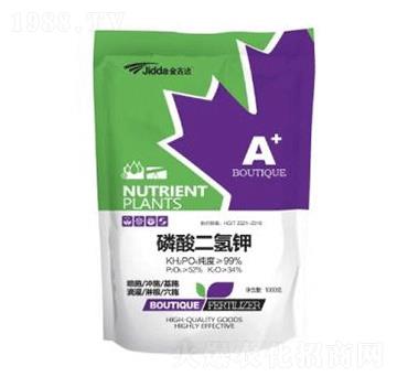 1000g��������-���_(d��)