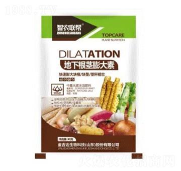 ���¸��o�����-���_(d��)