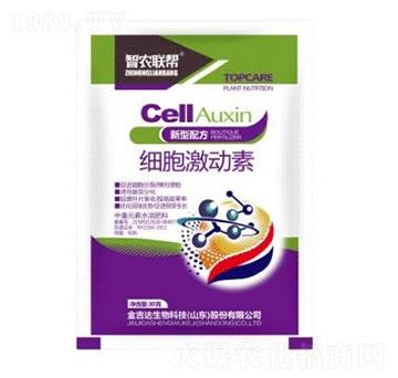 ��(x��)������(d��ng)��-���_(d��)