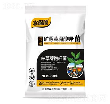 礦源黃腐酸鉀·菌-農(nóng)保鏢-金收成