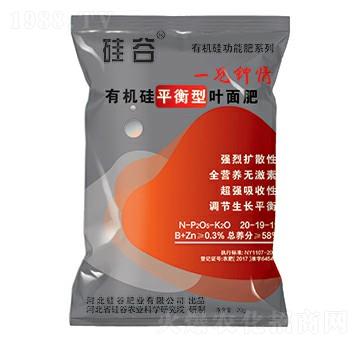 有機(jī)硅平衡型葉面肥-硅谷化工