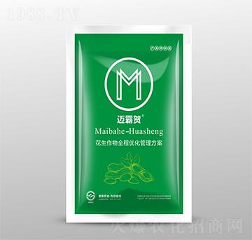 花生作物管理優(yōu)化策略-邁霸賀-圣勤農(nóng)業(yè)