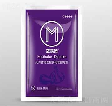 大蒜作物全程優(yōu)化管理方案-邁霸賀-圣勤農(nóng)業(yè)