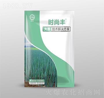 大蔥技術(shù)解決方案-時(shí)尚豐-圣勤農(nóng)業(yè)