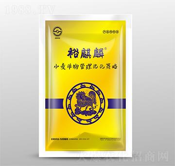 小麥作物管理優(yōu)化策略-裕麒麟-圣勤農(nóng)業(yè)