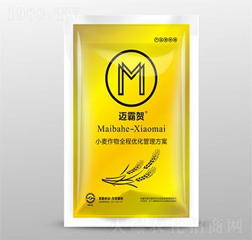 小麥作物全程優(yōu)化管理方案-邁霸賀-圣勤農(nóng)業(yè)