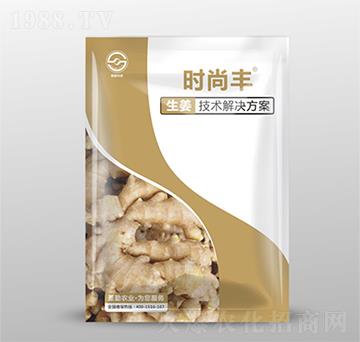 生姜技術解決方案-時尚豐-圣勤農業(yè)