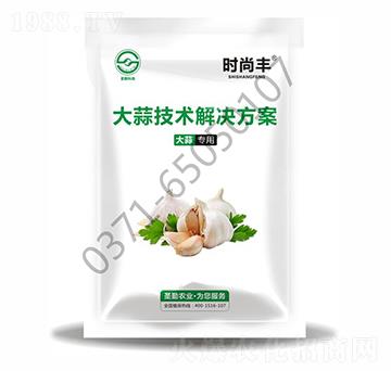大蒜技術(shù)解決方案-時尚豐-圣勤農(nóng)業(yè)