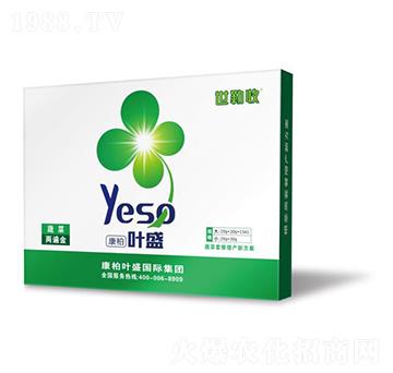 �߲˃ɱ��-������-�~ʢ����