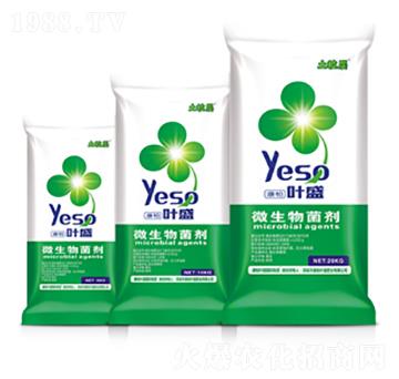 ������΢�������-�~ʢ����