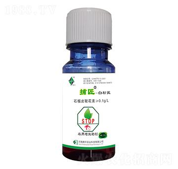 �׷�ʭ���ò���-�v�S�r�I(y��)