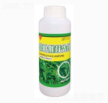 ���~��ѿ���h-̩��ʘI(y��)