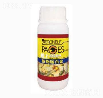 ϡ���������}-ֲ���X�׽�-̩��ʘI(y��)