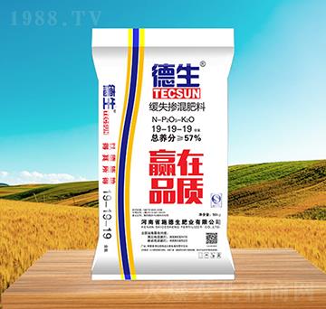 �������19-19-19-����