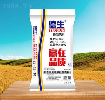 �������28-12-10-����