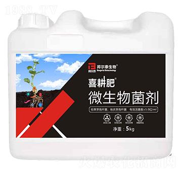 ΢�������-ϲ����-��