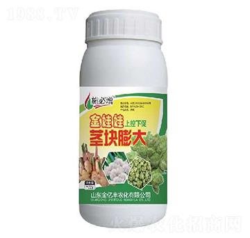 �o�K���-�������Ͽ��´�-���|�S