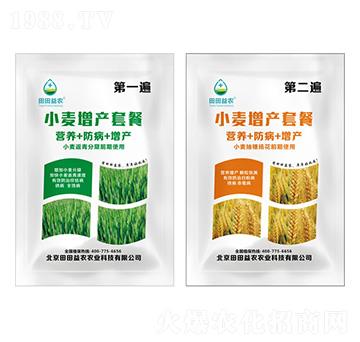 小麥增產(chǎn)套餐-田田益農(nóng)