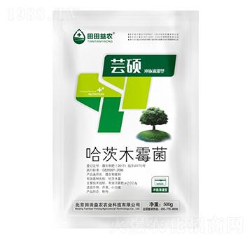沖施滴灌型哈茨木霉菌-蕓碩-田田益農(nóng)