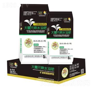 礦源黃腐酸鉀型大量元素水溶肥-豐根肥業(yè)
