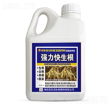 ����������-ʥ�ϝ�