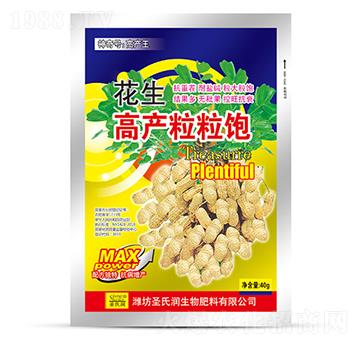 花生高產(chǎn)粒粒飽-圣氏潤(rùn)