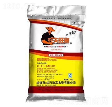 ��(f��)�Ϸ��ϣ����）��26-0-4-�P��