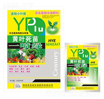 25g�S�~����һ���G-ʥ�ϝ�