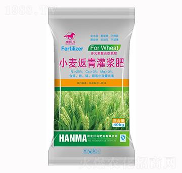 小麥返青灌漿肥-汗馬肥業(yè)