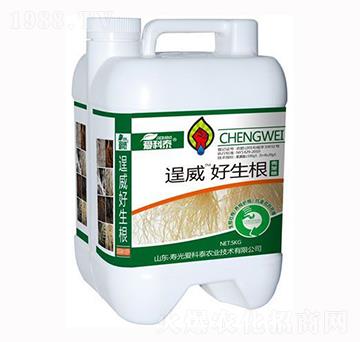 好生根-逞威-愛科泰