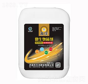 10kg膨果著色型微生物菌劑-萬(wàn)洋肥業(yè)