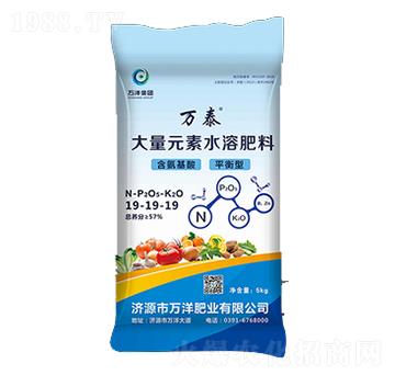 大量元素水溶肥料19-19-19-萬泰-萬洋肥業(yè)