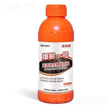 藻源類生物刺激素-爆根一號(hào)-苗麗圃-雅夫化工