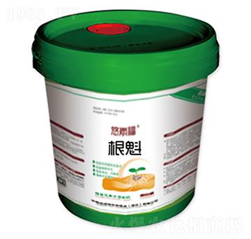 根魁-悠素福-中美諾威特