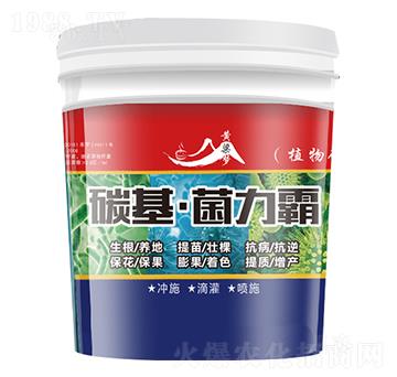 ̼����������-�S����-�����r�I(y��)