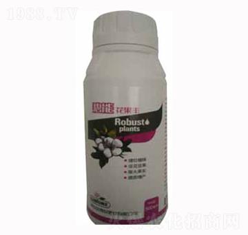 碧能花果豐-金博銳