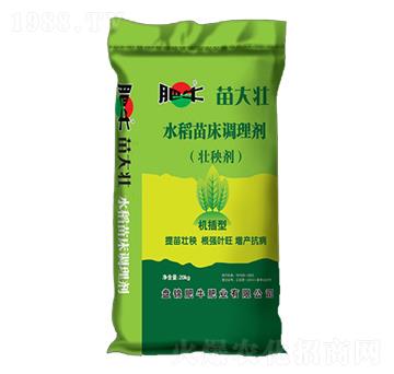 水稻苗床調(diào)理劑（壯秧劑）-苗大壯-肥牛肥業(yè)