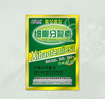 ��(x��)���������~���-���@����