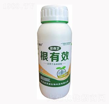 根有效-藍(lán)森藝-金至誠(chéng)