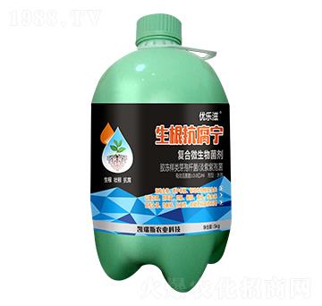 ����������-��(y��u)����-�P��˹